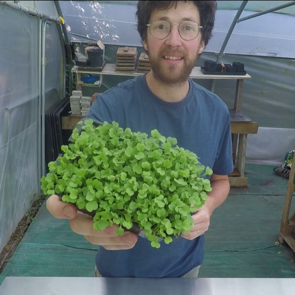 John Pousse producteur de micropousses